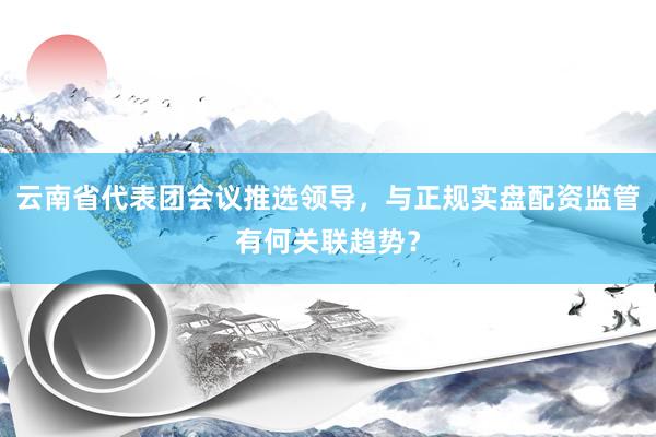 云南省代表团会议推选领导，与正规实盘配资监管有何关联趋势？
