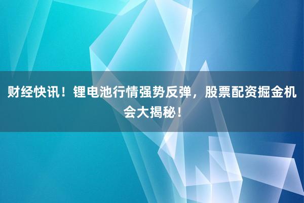 财经快讯！锂电池行情强势反弹，股票配资掘金机会大揭秘！