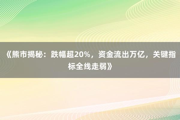 《熊市揭秘：跌幅超20%，资金流出万亿，关键指标全线走弱》