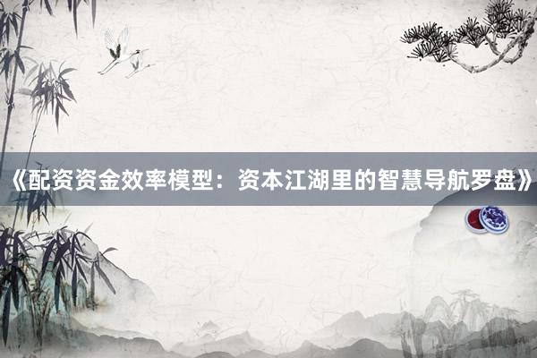 《配资资金效率模型：资本江湖里的智慧导航罗盘》