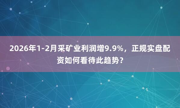 2026年1-2月采矿业利润增9.9%,正规实盘配资如何看待此趋势?