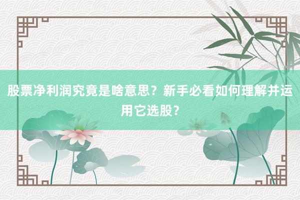 股票净利润究竟是啥意思？新手必看如何理解并运用它选股？