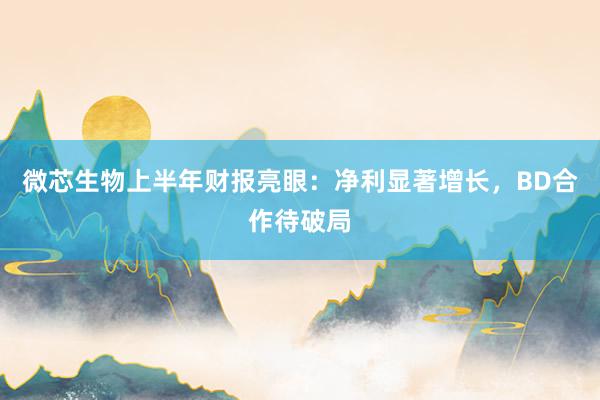 微芯生物上半年财报亮眼：净利显著增长，BD合作待破局