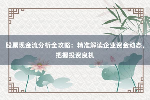 股票现金流分析全攻略：精准解读企业资金动态，把握投资良机