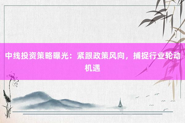 中线投资策略曝光：紧跟政策风向，捕捉行业轮动机遇