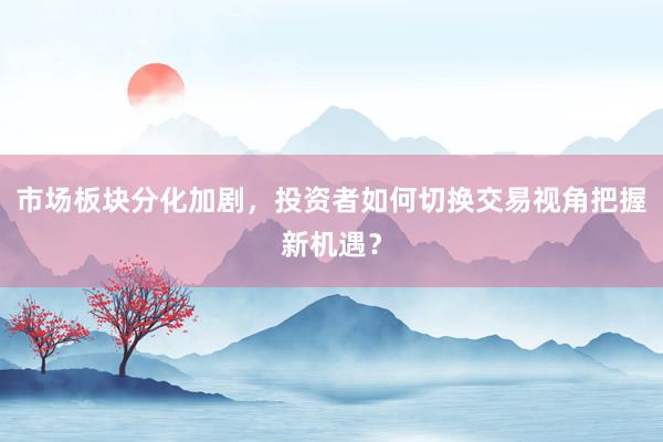 市场板块分化加剧，投资者如何切换交易视角把握新机遇？
