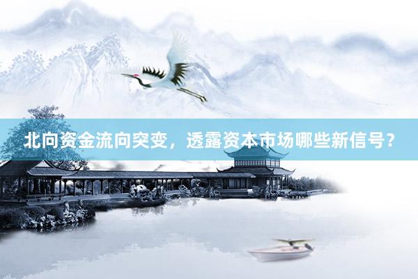 北向资金流向突变，透露资本市场哪些新信号？