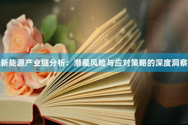 新能源产业链分析：潜藏风险与应对策略的深度洞察
