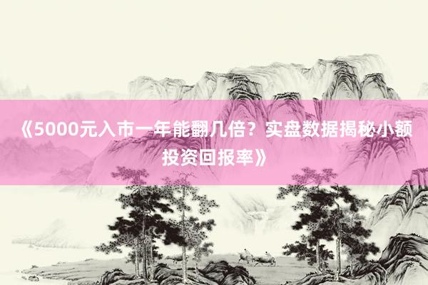 《5000元入市一年能翻几倍？实盘数据揭秘小额投资回报率》
