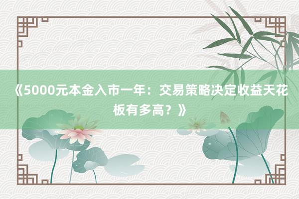 《5000元本金入市一年:交易策略决定收益天花板有多高?》