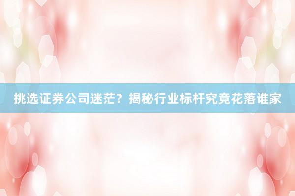 挑选证券公司迷茫？揭秘行业标杆究竟花落谁家