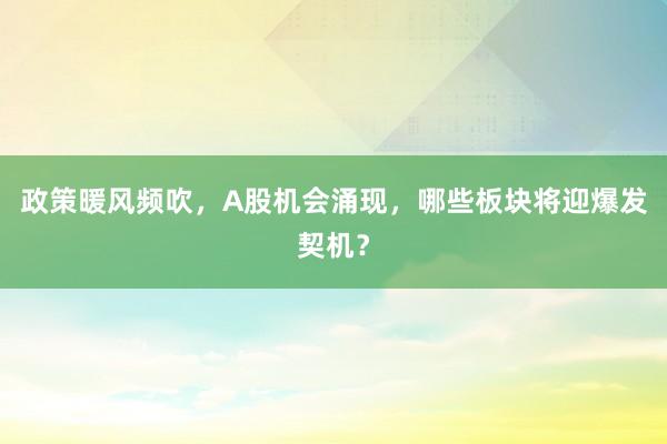 政策暖风频吹，A股机会涌现，哪些板块将迎爆发契机？