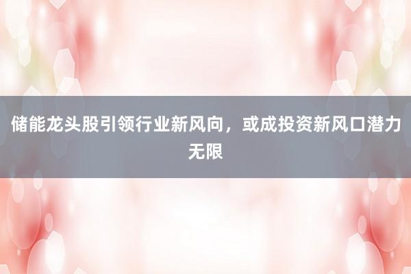储能龙头股引领行业新风向，或成投资新风口潜力无限