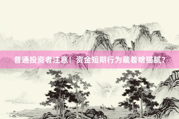 普通投资者注意!资金短期行为藏着啥猫腻?