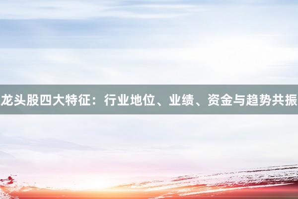 龙头股四大特征：行业地位、业绩、资金与趋势共振