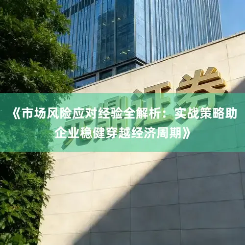 《市场风险应对经验全解析：实战策略助企业稳健穿越经济周期》